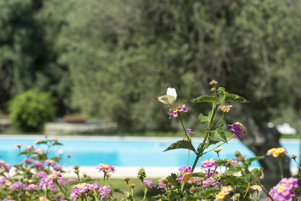 Agriturismo Borgo Degli Ulivi Canicattini Bagni Exterior photo